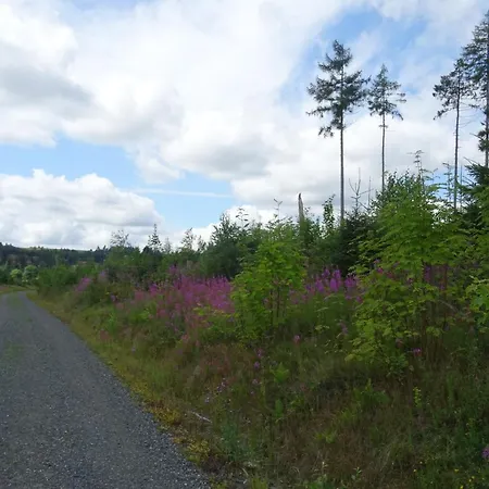 An Der Seilbahn * Braunlage